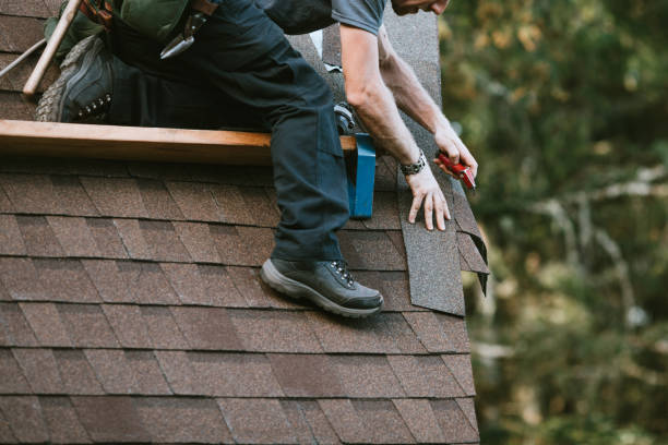 Best Roof Gutter Cleaning  in Braham, MN
